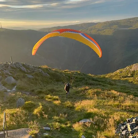 Peaceful Loft Lejlighed