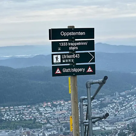 Peaceful Loft Apartman Bergen