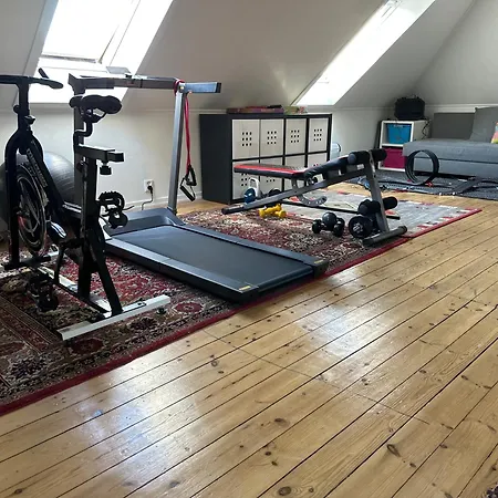 Peaceful Loft Leilighet