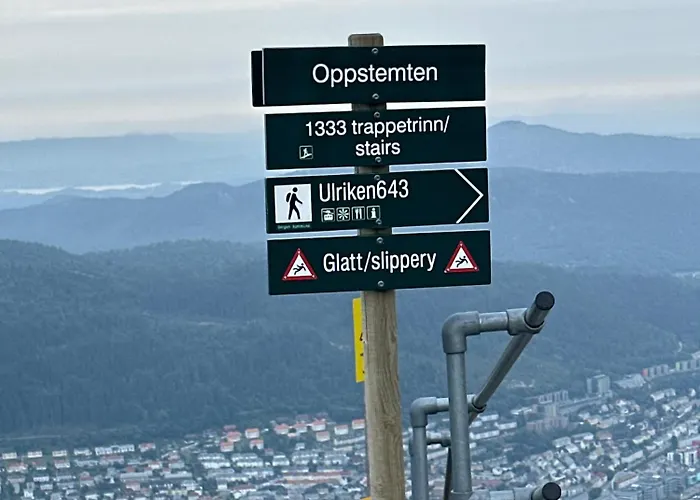 Peaceful Loft Διαμέρισμα Μπέργκεν